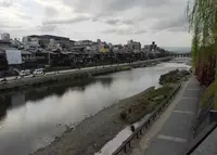 鴨川の写真・動画_image_905333