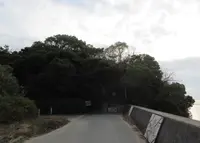 唐船山の写真・動画_image_908504