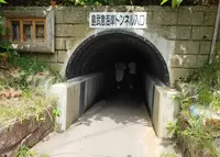 島武意海岸の写真・動画_image_924247