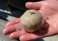 吾妻堂の写真・動画_image_931655