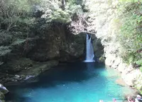 仁淀川の写真・動画_image_949309