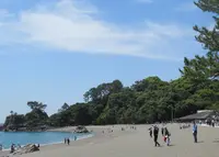 桂浜の写真・動画_image_949311