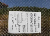 明石原人腰骨発見地の写真・動画_image_960487