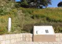 アカシゾウ発掘地の写真・動画_image_960490