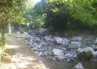 芥川の写真・動画_image_970784