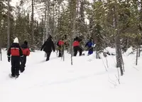 Myllyjoentie 2の写真・動画_image_975002