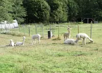 Hevoshaantie 14の写真・動画_image_978478