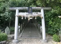 新屋坐天照御魂神社の写真・動画_image_986604