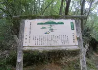 尺治の翠影の写真・動画_image_988093