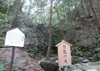 登龍の滝の写真・動画_image_988095