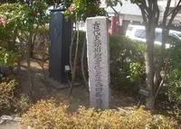 古代交野川地方條里区画四條通遺跡の写真・動画_image_988111