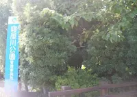 寝屋川公園の写真・動画_image_988128