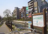 寝屋川せせらぎ公園の写真・動画_image_988140