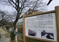友呂岐緑地の写真・動画_image_988146