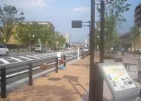 駅前大通りさわやかロードの写真・動画_image_988149