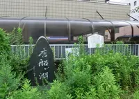 唐船ヶ淵の写真・動画_image_988160