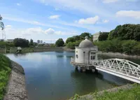城山ニテコ公園の写真・動画_image_994971