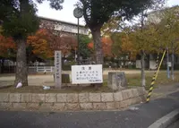 なみはや公園の写真・動画_image_996077