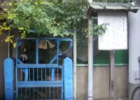畠山政長墓所の写真・動画_image_996093
