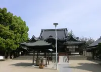 あびこ観音寺　の写真・動画_image_996892