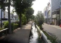 細江川石碑の写真・動画_image_996894