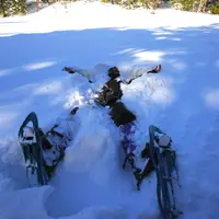 乗鞍高原の写真・動画_image_20927