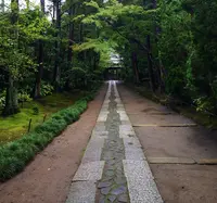寿福寺の写真・動画_image_138464