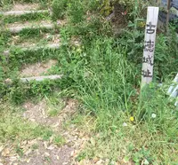 古徳沼の写真・動画_image_30900