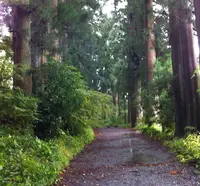 畑宿一里塚（箱根旧街道）の写真・動画_image_31537
