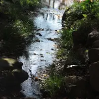有栖川宮記念公園の写真・動画_image_55250