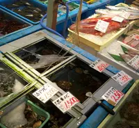 海の駅しおさい市場の写真・動画_image_57156
