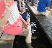 小浜温泉の写真・動画_image_92365