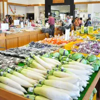 道の駅 藤樹の里あどがわの写真・動画_image_444284