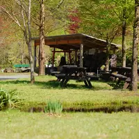 立岩水源公園の写真・動画_image_45835