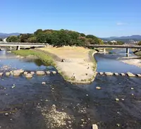 鴨川デルタの写真・動画_image_153751
