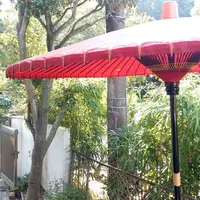 たのうえの写真・動画_image_211746