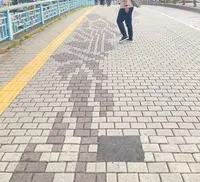 阿波おどり会館の写真・動画_image_540880