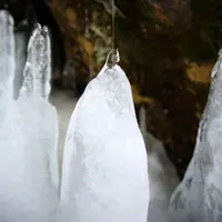 乗鞍高原の写真・動画_image_20939