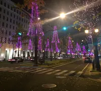 御堂筋の写真・動画_image_125519