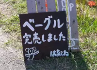 はなとねの写真・動画_image_51327