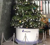 銀座山野楽器 本店の写真・動画_image_205826