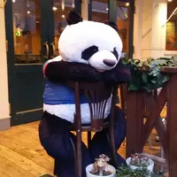 フレッシュネスバーガー新横浜店の写真・動画_image_212836