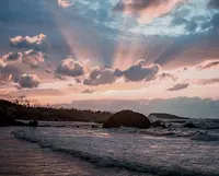 越前松島の写真・動画_image_1179776