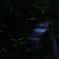 エコミュージアム川根の写真・動画_image_932145