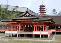 宮島（厳島）の写真・動画_image_17876