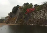 大阪城公園の写真・動画_image_17958
