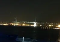 横浜港大さん橋国際客船ターミナル（大さん橋）の写真・動画_image_18327