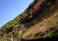三溪園の写真・動画_image_20001