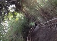三溪園の写真・動画_image_20014