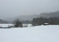 作並温泉の写真・動画_image_20275